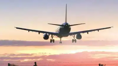 theindiaprint.com what is an airline ticket scam and how can i avoid it 108335140