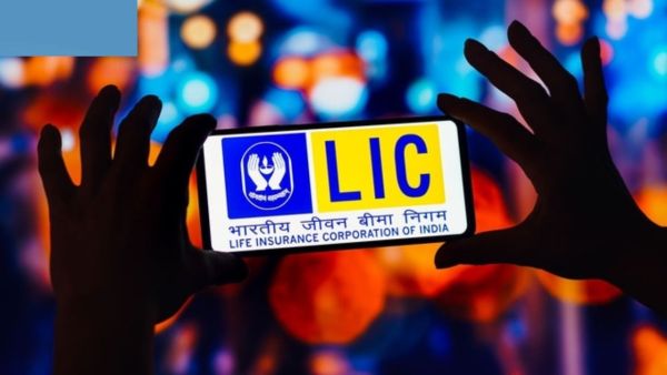 Where does your money deposited in LIC go, this is the complete detail