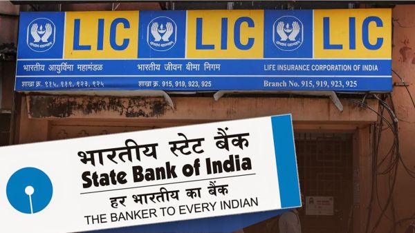 How much did LIC-SBI earn last week, TCS and ICICI were in loss