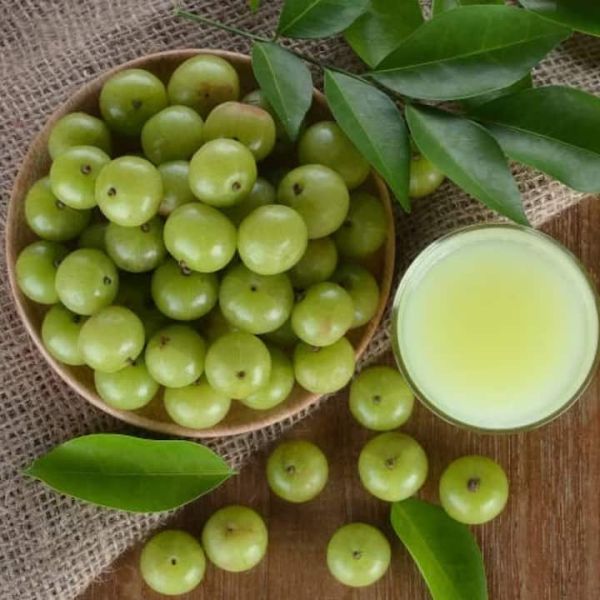 Fiber is found in Amla, which works to keep the intestinal functioning correct and healthy. Along with fiber, Amla also has probiotic properties, which promote healthy bacteria in the intestine.