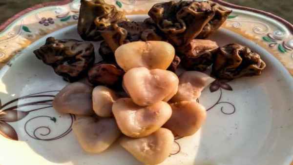   Surprising Benefits of Water Chestnuts in fasting