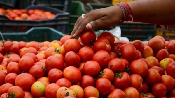 66962043355be tomato price hike 122705670 16x9 1