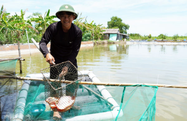 Mr. Tran Van Bi is renovating the fish pond to expand the homestay. Photo: Chuc Ly