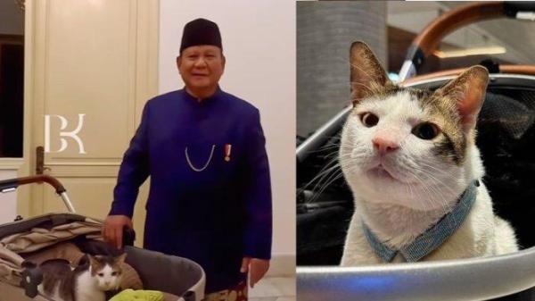 Presiden Prabowo Subianto bersama kucingnya, Bobby Kertanegara, di Istana Merdeka