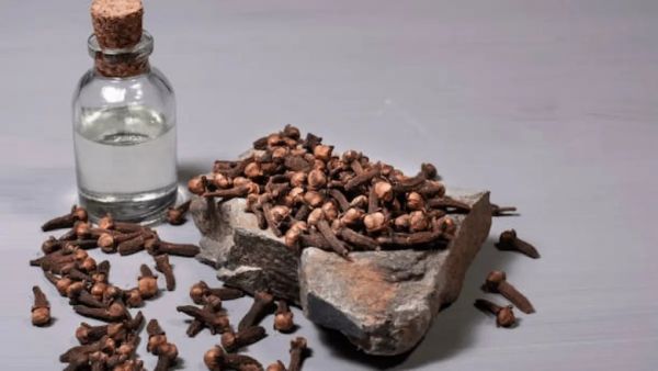 Clove water gives strength to hair