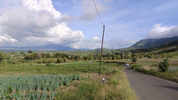 Pemandangan perkebunan di Kecamatan Passi Timur.8