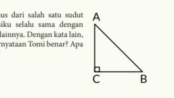 Soal nomor 4 terdapat gambar segitiga yang ada dihalaman 121.