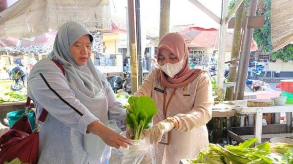 Petugas dari Dinas Pangan dan Pertanian Kota Pangkalpinang sedang melakukan pemeriksaan sampel terhadap pangan segar asal tumbuhan dari sejumlah pasar dan ritel, Kamis (14/11/2024).