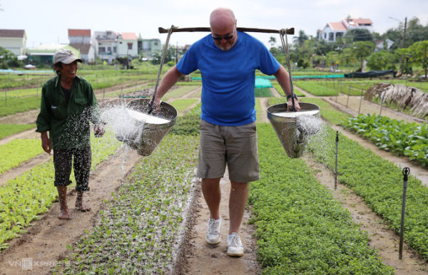 Foreign tourists experience Tra Que vegetable village on the morning of November 14. Photo: Dac Thanh