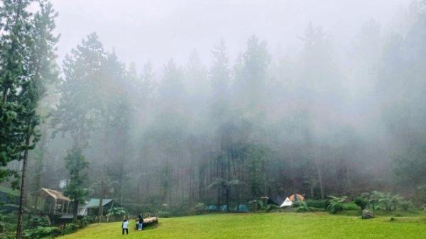 Foto Suasana di Rumah Angsa yang nampak sejuk dan hijau karena hamparan pohon pinus yang tertutupi kabut tebal. Terlihat ada beberapa pengunjung yang sedang bersantai dan mengabadikan momen dengan berfoto, pada Sabtu (7/12/2024). Adapun Rumah Angsa beralamat di Ladang Hutan Guci, Kecamatan Bumijawa, Kabupaten Tegal, Jawa Tengah.