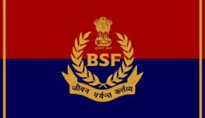 BSF 