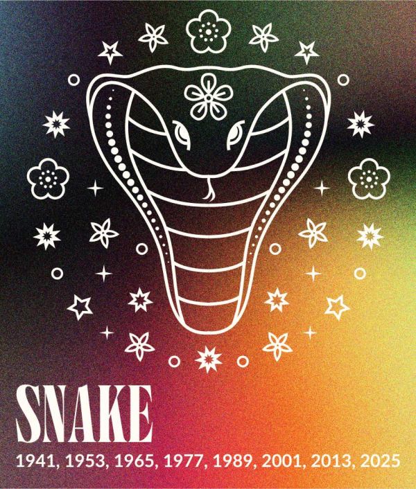 snake chinese zodiac sign january 2025 monthly horoscope