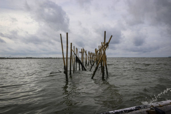 Pagar laut terpasang di kawasan pesisir Kabupaten Tangerang, Banten, Kamis (9/1/2025). Foto: Sulthony Hasanuddin/ANTARA FOTO 