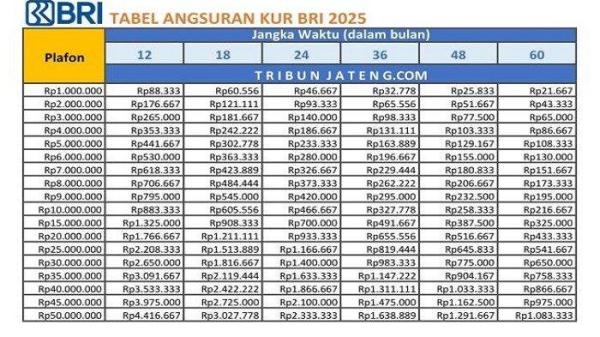 KUR BRI - Untuk mengetahui plafon pinjaman KUR 2025 di Bank BRI cicilan di bawah Rp 100 ribu per bulan, cek Tabel Angsuran KUR BRI 2025.