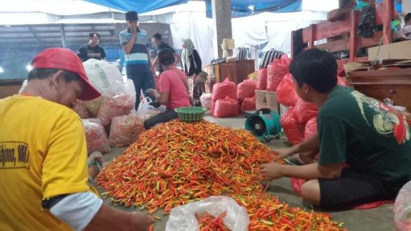 Pedagang cabai di Pasar Induk Pare di Desa Tulungrejo, Kecamatan Pare, Kediri.