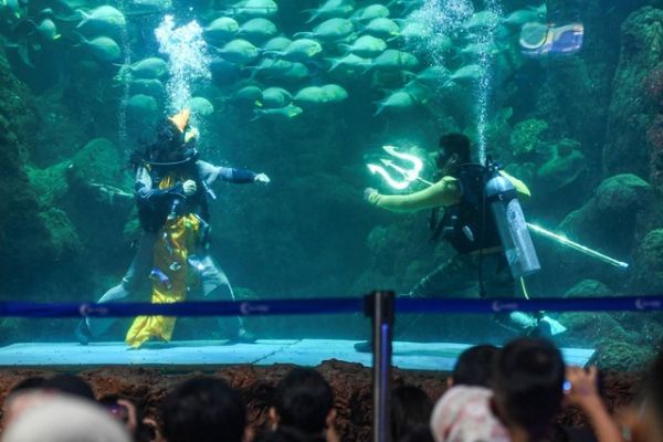 Atraksi barongsai menghibur pengunjung di akuarium Sea World Ancol, Jakarta, Kamis (8/2/2024). Foto: Muhammad Adimaja/ANTARA FOTO