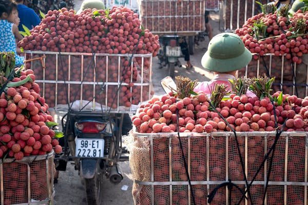 Ilustrasi apakah buah leci musiman. Foto: Pexels.com/Quang Nguyen Vinh