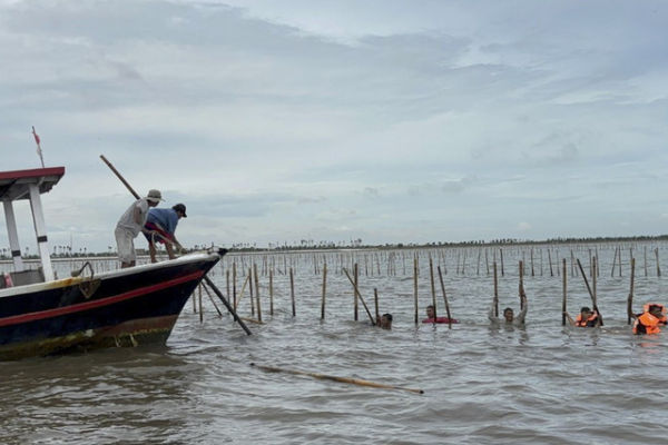 Sejumlah warga dan TNI AL berusaha membongkar pagar laut di perairan Tangerang, Banten, Sabtu (18/1/2025). Foto: Abid Raihan/kumparan