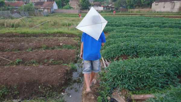 Ilustrasi anak bermain layang-layang. Foto: Jamal Ramadhan/kumparan