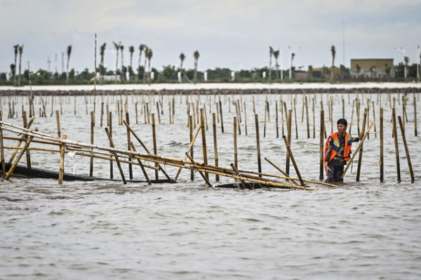 Nelayan membongkar pagar laut yang terpasang di kawasan pesisir Tanjung Pasir, Kabupaten Tangerang, Banten, Sabtu (18/1/2025). Foto: Rivan Awal Lingga/ANTARA FOTO