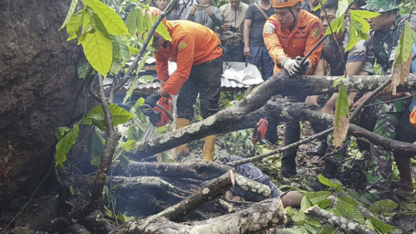 Proses evakuasi korban longsor di Klungkung, Bali, Senin (20/1/2025). Akibat bencana ini, 4 orang tewas. Foto: Dok. SAR Denpasar