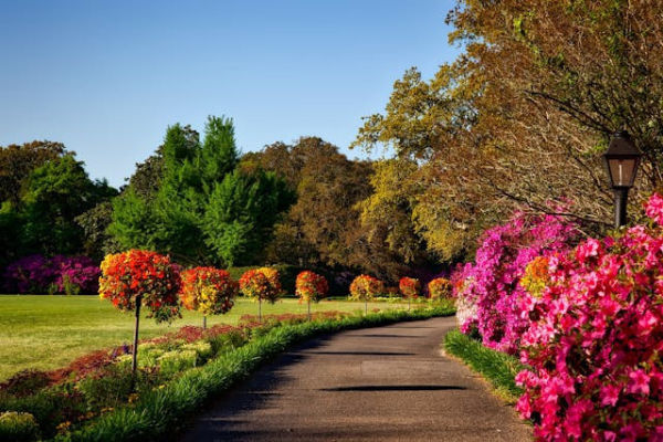 Taman Tirto Agung. Foto hanya ilustrasi bukan sebenarnya. Sumber foto: Pexels