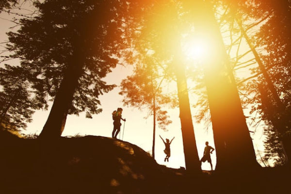 Gunung Arjuno (Foto hanya ilustrasi, bukan tempat sebenarnya) Sumber: unsplash/ Photo Nic