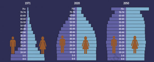 Piramida Penduduk Indonesia, Tahun 1971, 2020, dan 2050. Foto: Dok. BPS