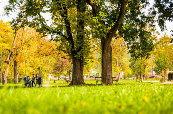 Taman di Semarang Barat. Foto hanya ilustrasi, bukan tempat sebenarnya. Sumber foto: Unsplash-Srecko Skrobic