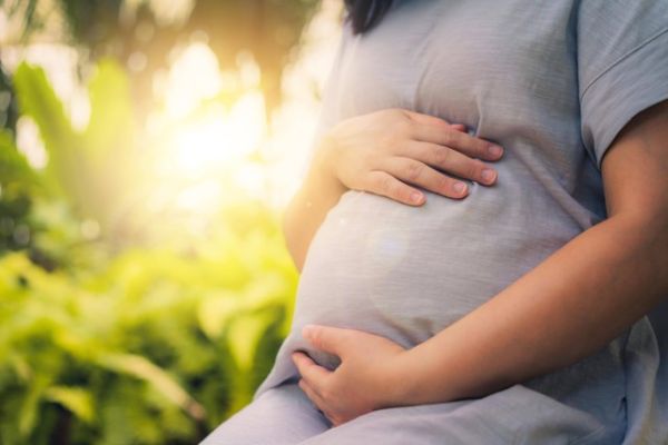 Ilustrasi Ibu Hamil. Foto: Blue Planet Studio/shutterstock