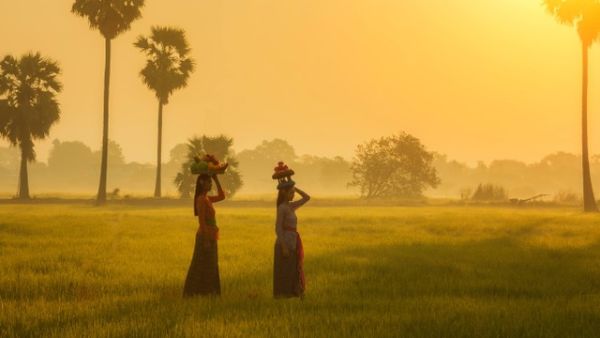 Ilustrasi desa wisata di Bali. Foto: SantiPhotoSS/Shutterstock