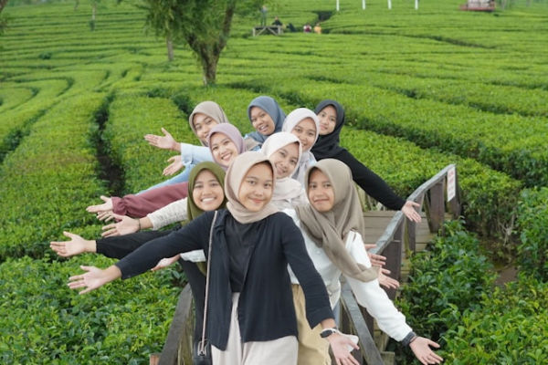 Kebun teh Majalengka, foto hanya ilustrasi, bukan tempat sebenarnya: Unsplash/Oktavia Ningrum