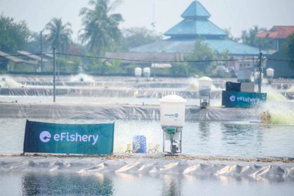 eFeeder, alat pemberi makan ikan dan udang otomatis yang diciptakan eFishery sebagai penunjang keberlanjutan budidaya ikan nila salin Foto: Dok. Biro Pers Setpres