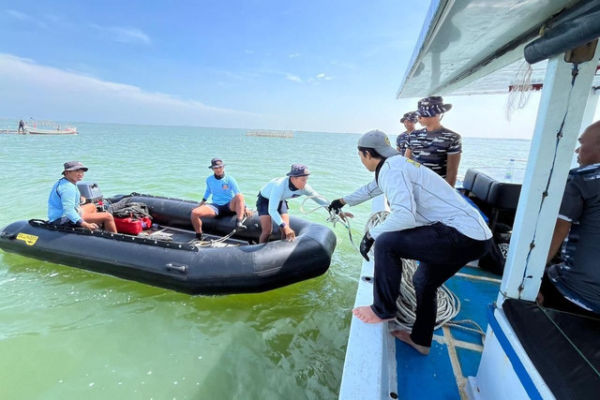 TNI AL membongkar pagar laut di wilayah Tanjung Pasir dan Kronjo, Tangerang, Banten. Foto: Dispenal