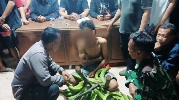 CURI PISANG - AAP (17), warga Kecamatan Trangkil, Kabupaten Pati dimintai keterangan di Balai Desa Gunungsari, Kecamatan Tlogowungu, Kabupaten Pati seusai kedapatan mencuri empat tandan pisang dari kebun warga, Senin (17/2/2025). AAP mengaku mencuri demi menghidupi adiknya