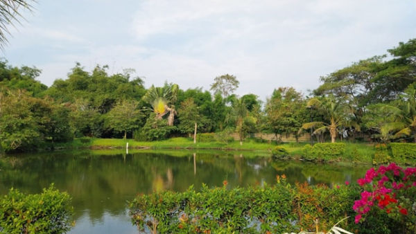 Umbul Cokro Klaten. Foto Hanya Ilustrasi, Bukan Sebenarnya. Sumber Foto: Unsplash.com/Edwin Petrus