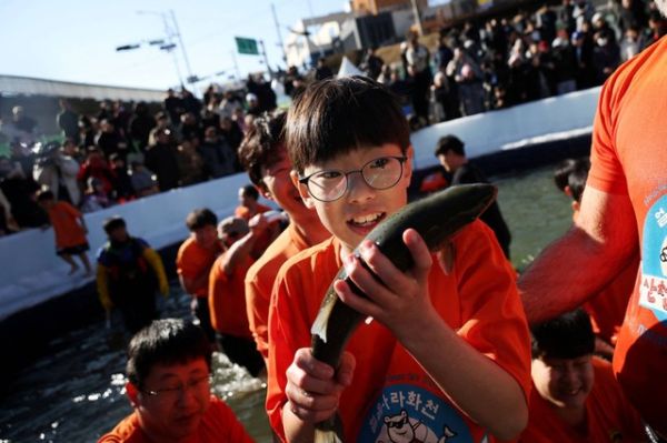 Seorang anak laki-laki menangkap ikan trout dengan tangannya di air es saat acara mempromosikan Festival Es Hwacheon di Hwacheon, selatan zona demiliterisasi (DMZ) yang memisahkan kedua Korea, Korea Selatan, Sabtu (6/1/2024). Foto: Kim Hong-Ji/REUTERS