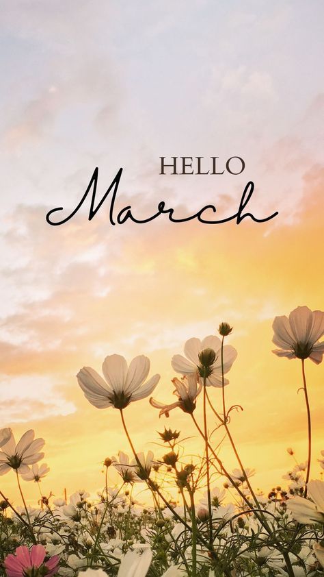 This may contain: the words hello march are written in black on top of white daisies and pink flowers