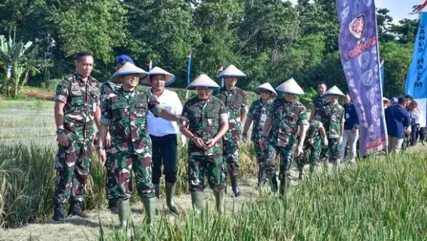 Panen Padi di Halim Farm. (dok. ist)