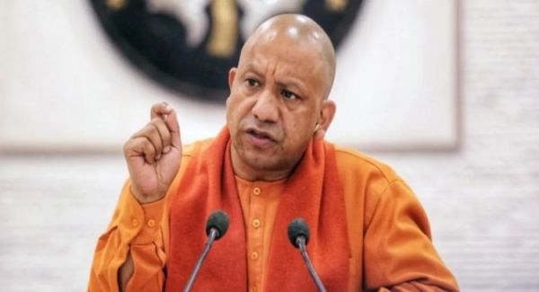 yogi ani 1741072527659 1