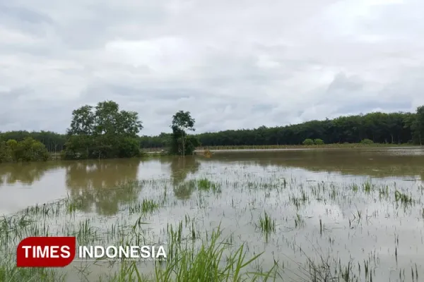 Lahan-Banjir.jpg