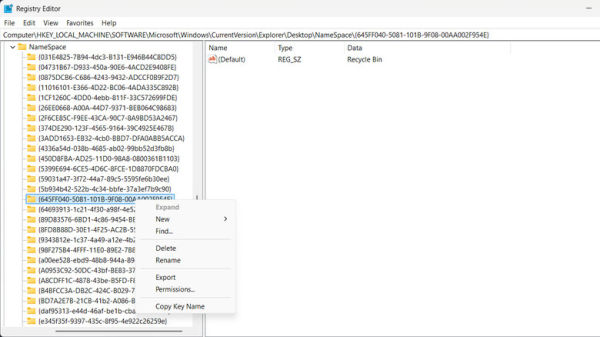 Screenshot of deleting the Recycle Bin key from the Registry Editor