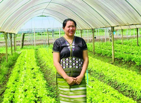 หลาก&หลายเกษตร - ซินเจนทาลุย‘เพาะดีกินดี’ปี 2 ติดอาวุธทางปัญญาเกษตรกรสู้โลกยุคใหม่ 