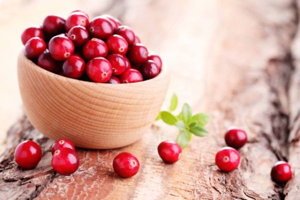 Buah Cranberry. Foto: matka_Wariatka/Shutterstock