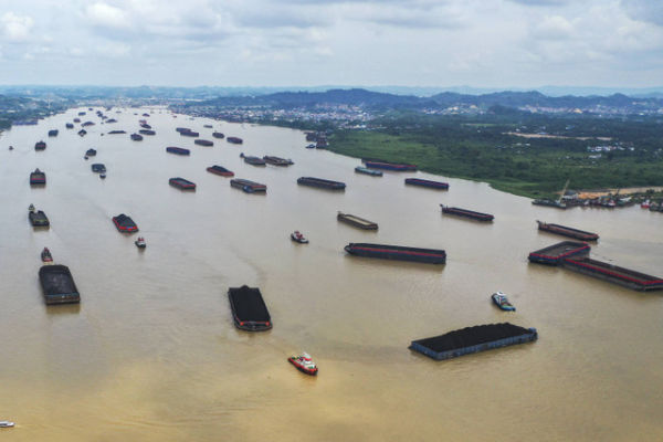Sejumlah kapal tongkang bermuatan batu bara melintas perairan Sungai Mahakam di Samarinda, Kalimantan Timur, Rabu (6/11/2024). Foto: M Risyal Hidayat/ANTARA FOTO