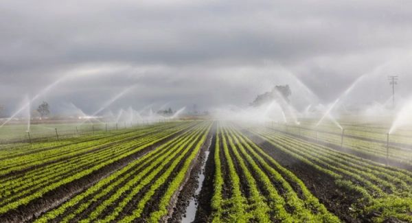 irrigation 1745394694542 1