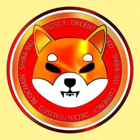 Shiba inu