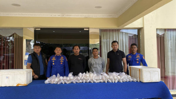 Ribuan benih lobster yang digagalkan penyelundupannya oleh Ditpolairud Baharkam Polri. Foto: Dok. Istimewa