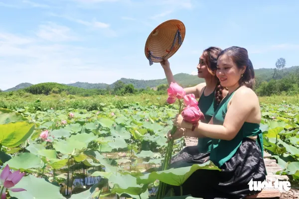 sen Trà Lý - Ảnh 2.