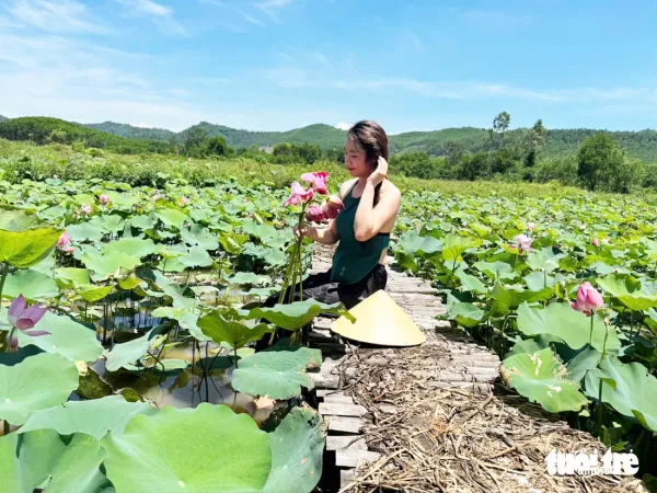 Đẹp ngỡ ngàng mùa sen Trà Lý, du khách ùn ùn đến check-in - Ảnh 7.